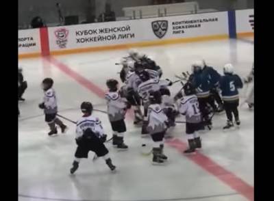 Видео: юные хоккеисты устроили массовую драку на матче в Сочи