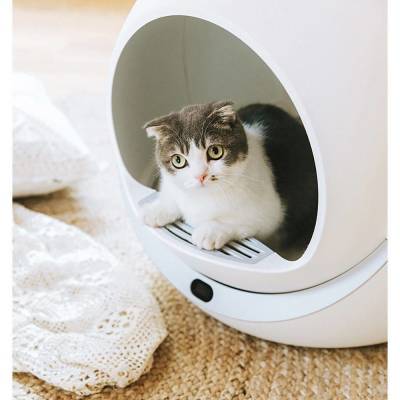 Автоматический лоток для вашей кошки: что нужно знать