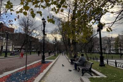 Небольшой дождь и до девяти градусов тепла ожидают в Москве 6 ноября