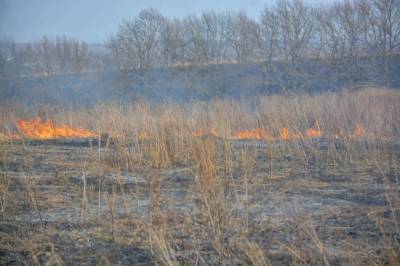 В Хабаровском крае продолжает гореть сухостой