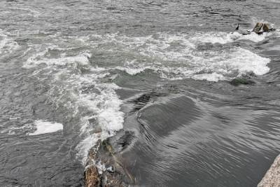 Тульские спасатели назвали опасность осенних водоемов