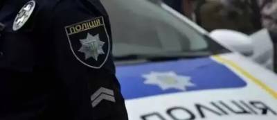 В Львовской области пьяный водитель убегал от полиции и залез на дерево