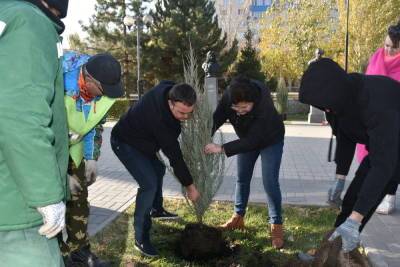 На Аллее Славы в Астрахани высадили «Мемориальные деревья России»