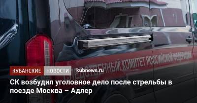 СК возбудил уголовное дело после стрельбы в поезде Москва – Адлер