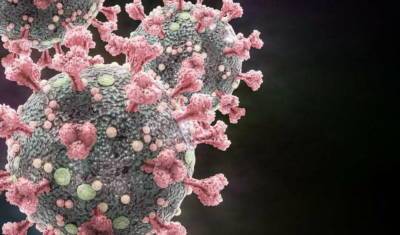 Ученые заявили, что коронавирус способен поражать внутренне ухо