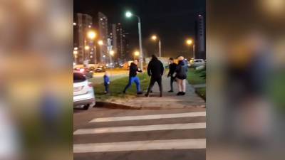 Новые подробности нападения на мужчину с ребёнком в Новой Москве