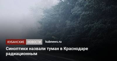 Синоптики назвали туман в Краснодаре радиационным