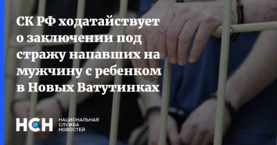 СК РФ ходатайствует о заключении под стражу напавших на мужчину с ребенком в Новых Ватутинках