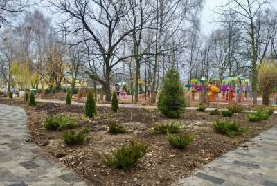 В Наташкином парке Рязани завершили высадку кустарников и деревьев