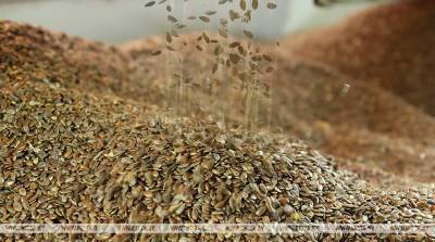 Порядок производства семян сельхозрастений определен в Беларуси