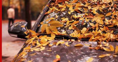 Опавшие листья: чем они опасны для автомобиля
