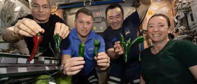 NASA в неділю повертає своїх астронавтів з МКС. Через несправність туалету їм доведеться летіти в підгузках
