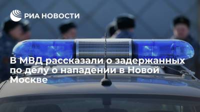 МВД: среди задержанных в Новой Москве уроженец ближнего зарубежья и трое граждан России