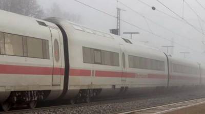 В Германии мужчина ранил ножом пассажиров поезда