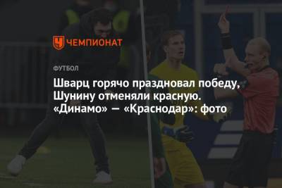 Шварц горячо праздновал победу, Шунину отменяли красную. «Динамо» — «Краснодар»: фото