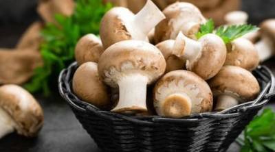 В Украине запретят продажу грибов на рынках на законодательном уровне