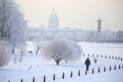 Стало известно, когда в Петербурге выпадет первый снег