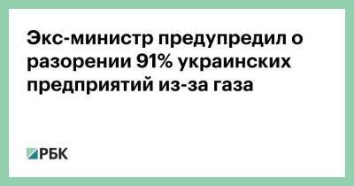 Экс-министр предупредил о разорении 91% украинских предприятий из-за газа