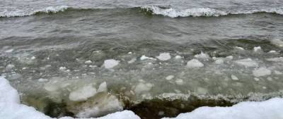 Обское море в Новосибирске начало покрываться льдом