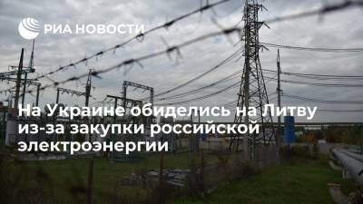 Депутат Рады Бужанский упрекнул Литву из-за покупки российской электроэнергии