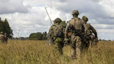 Эстонские военные в Мали ошибочно обстреляли британских солдат
