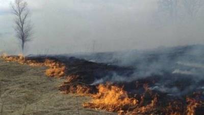 В Башкирии вспыхнула сухая трава - bash.news - Башкирия - район Учалинский - населенный пункт Угрозы