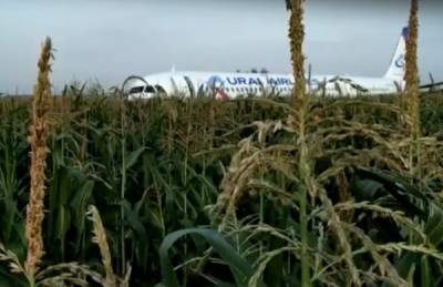 Самолет А321, совершивший "чудо на кукурузном поле", утилизируют после окончания расследования