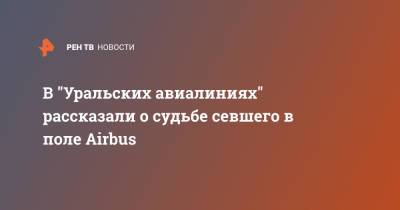 В "Уральских авиалиниях" рассказали о судьбе севшего в поле Airbus