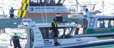 В Австралії розшукують плавця, який зник після нападу акули на міському пляжі