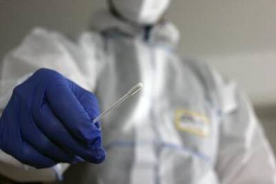 Российский врач предупредила о проблемах с ПЦР-тестированием на коронавирус