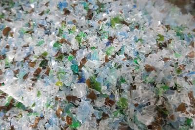 Более 350 тонн стекла и 70 тонн пластика собрали в Ленобласти с начала года