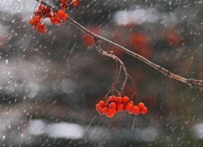 «Дождь и мокрый снег». Синоптики рассказали о погоде в Смоленской области