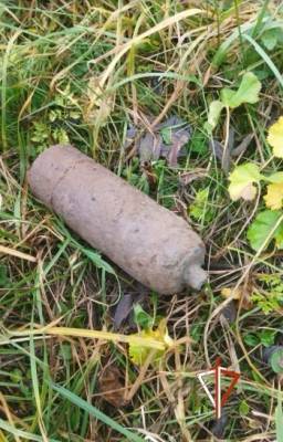В Вологодской области продолжают находить старые боеприпасы