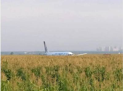 Самолет A321, совершивший экстренную посадку в кукурузном поле, уничтожат после расследования