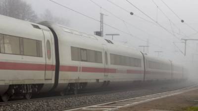 В Баварии беженец напал с ножом на пассажиров поезда: есть жертвы