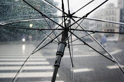 Понедельник в Рязанской области будет дождливым и ветреным