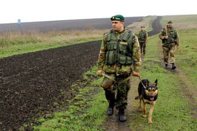 В офисе Зеленского ответили на заявления о российских войсках у границ Украины