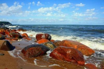 Балтика признана одной из самых загрязненных экосистем в мире