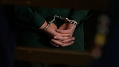 Суд арестовал одного из четырёх обвиняемых в нападении на мужчину с ребёнком в Новой Москве