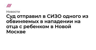 Суд отправил в СИЗО одного из обвиняемых в нападении на отца с ребенком в Новой Москве