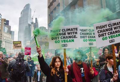 Экоактивисты вышли на протесты по всему миру