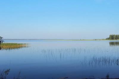 В Тверской области в акватории озера нашли тело утонувшего мужчины