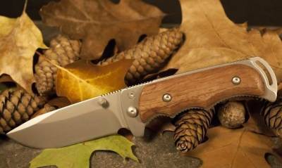 Химики из США научились изготавливать острые ножи из дерева