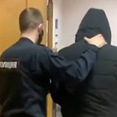 Щербинский суд Москвы арестовал одного из четырех обвиняемых в нападении на отца с ребенком в Новой Москве