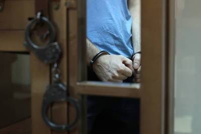 Арестованы все четверо обвиняемых в нападении на москвича с ребенком