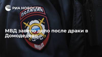 Полиция возбудила уголовное дело после массовой драки в подмосковном Домодедово