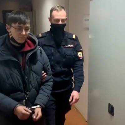 Арестованы все обвиняемые в нападении на мужчину с ребенком в Новой Москве
