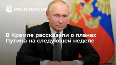 Путин на следующей неделе примет участие в саммите АТЭС и конференции Сбербанка