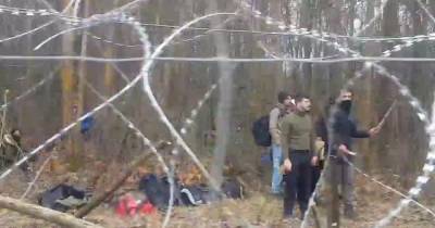 Мигранты атаковали польских пограничников на границе с Беларусью (видео)