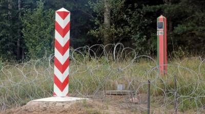 Нелегалы со стороны Беларуси атаковали польскую границу